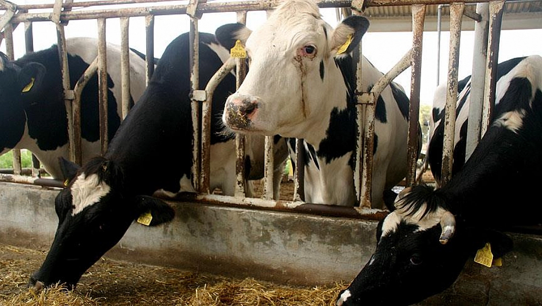 2026’nın ilk duyurusu üretim değil, ithalat oldu!