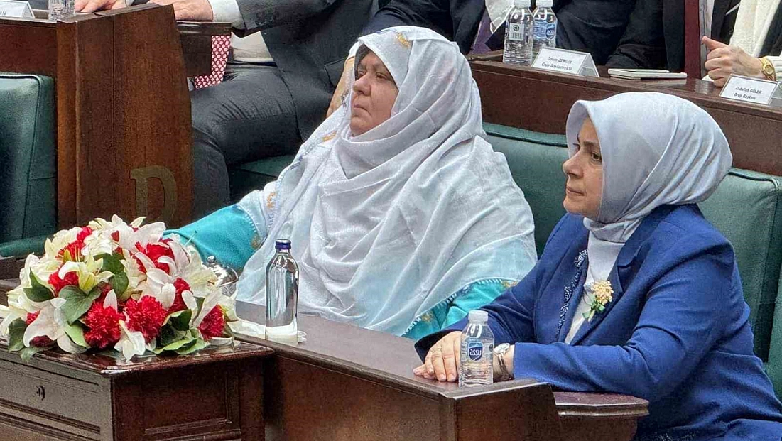 Deprem bölgesi için tarihi finansman modeli