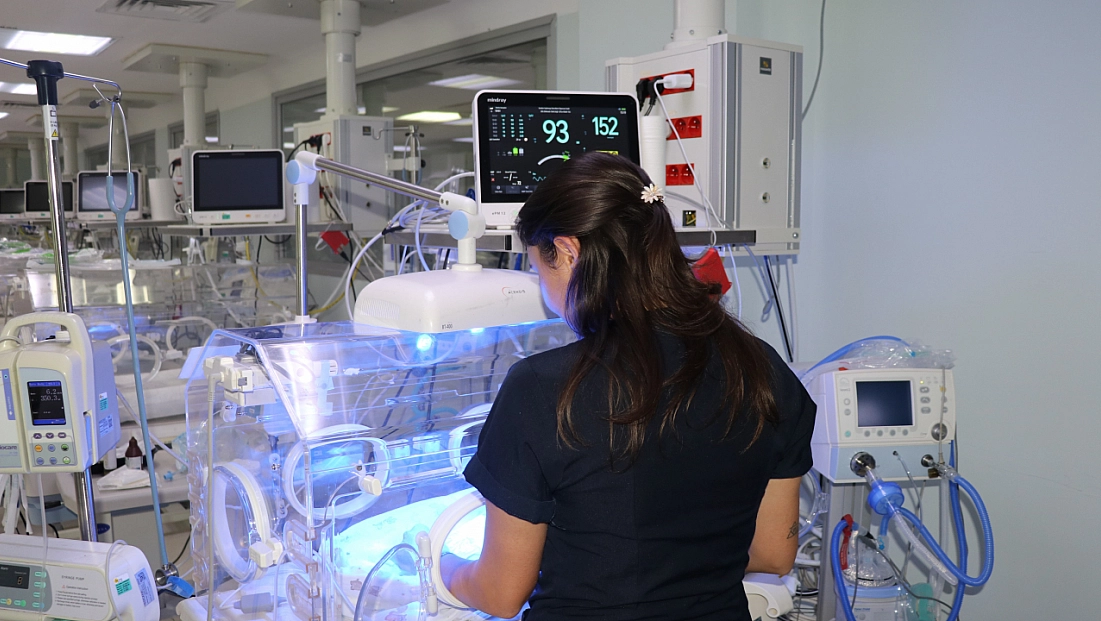 Küçük bedenleriyle büyük yaşam mücadelesi veriyorlar