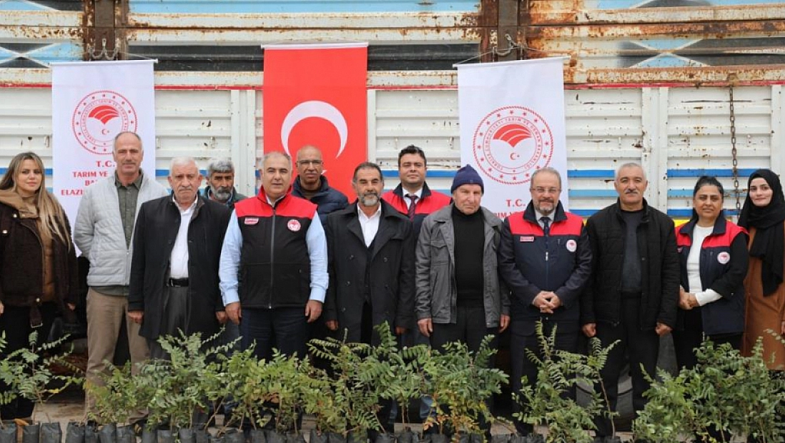 13 üreticiye 7 bin 311 sumak fidesi dağıtıldı