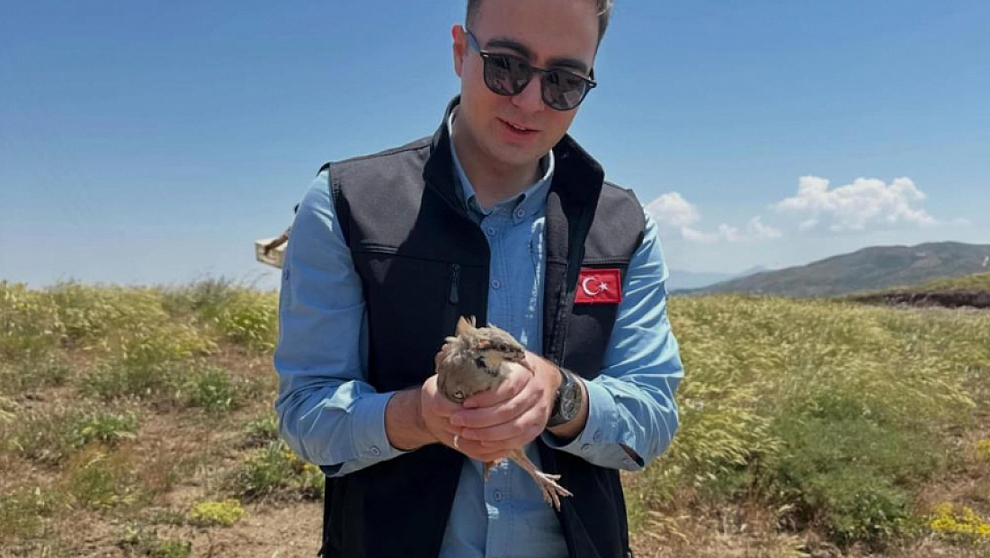 200 keklik doğaya salındı