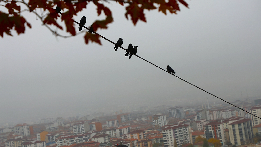 200 metreden şehir sis içinde kayboldu