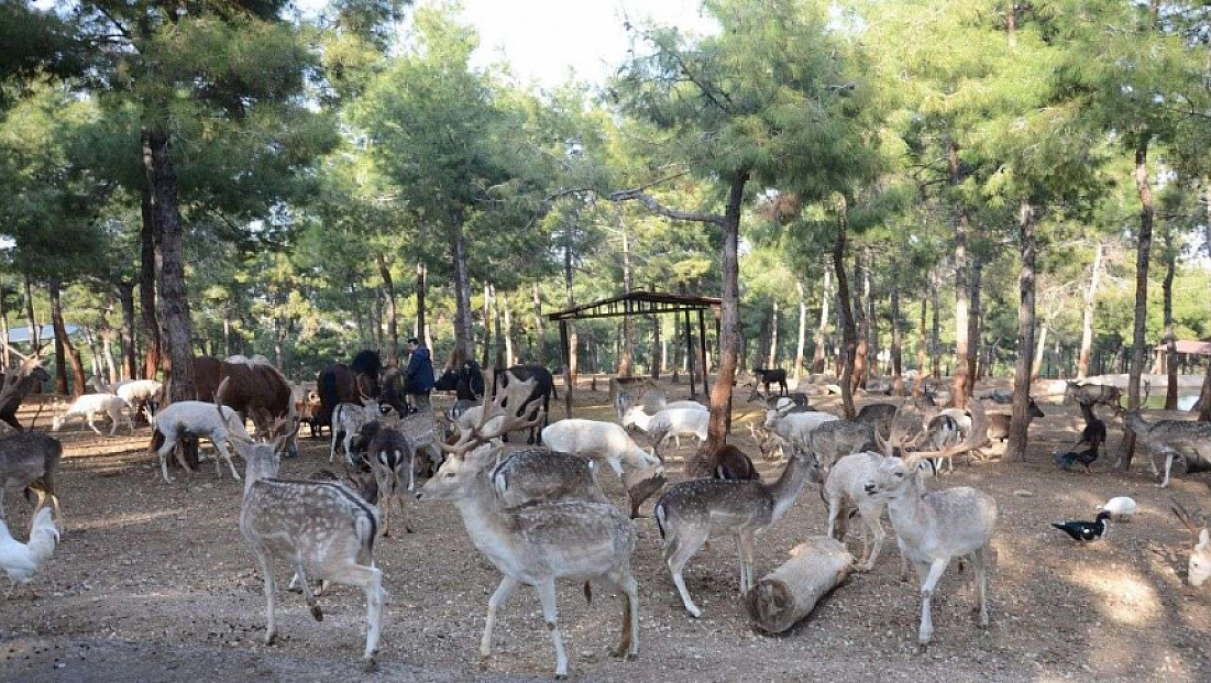 2025'te ziyaretçi rekoru kırdı
