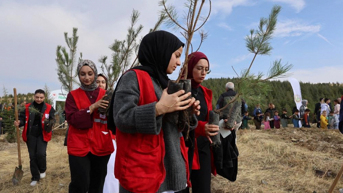 23 bin 650 fidan toprakla buluştu
