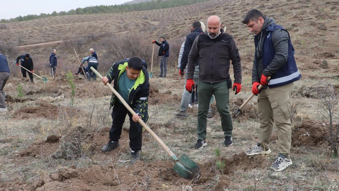 58 bin fidan toprakla buluşturuldu