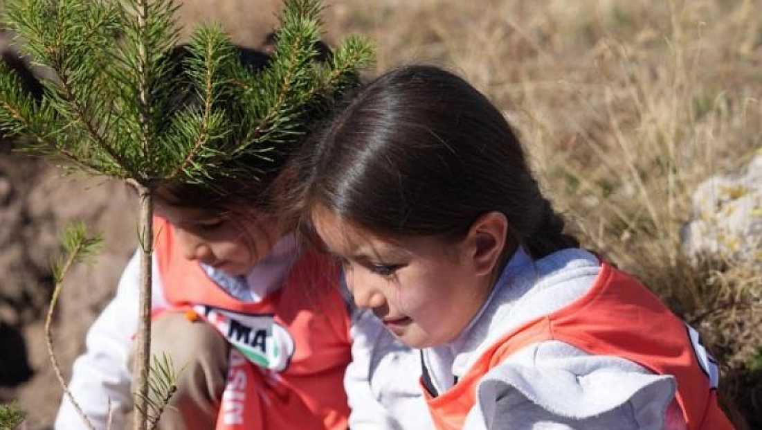 ‘81 İlde 81 Orman’ projesi devam ediyor