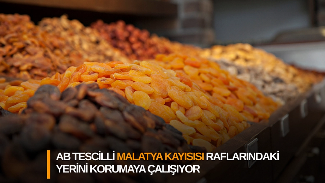 AB tescilli Malatya kayısısı raflarındaki yerini korumaya çalışıyor