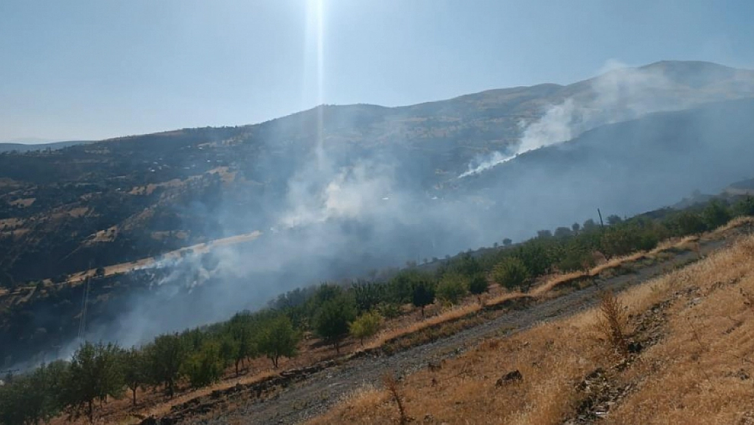 Alevler iki mahalleyi birden kuşatmıştı: Malatya’da korkutan yangında son durum ne?