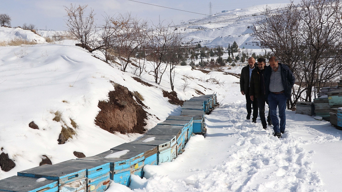 Arıcı ve besiciler yaralarını devlet desteğiyle sardı