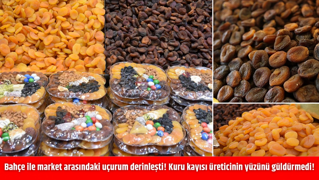 Bahçe ile market arasındaki uçurum derinleşti! Kuru kayısı üreticinin yüzünü güldürmedi!
