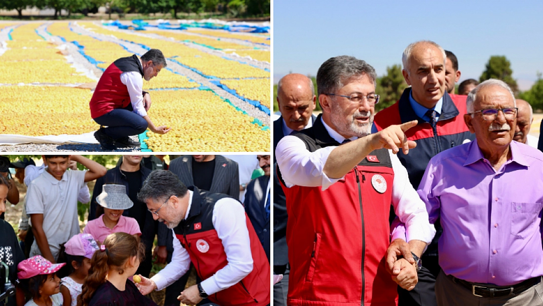 Bakan Yumaklı, Malatya’da aynı bahçede bu kez hasat mutluluğunu yaşadı!