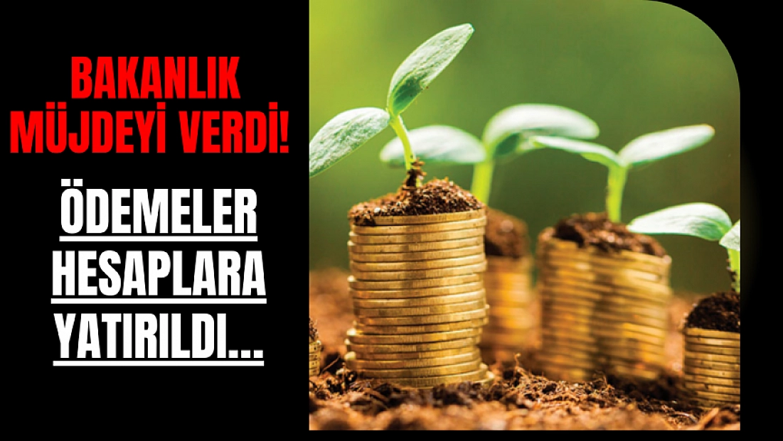 Bakanlık müjdeyi verdi! Ödemeler hesaplara yatırıldı…