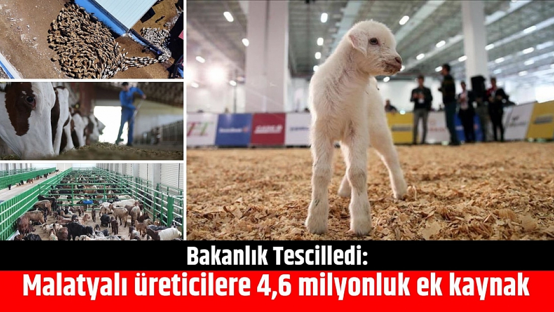 Bakanlık Tescilledi: Malatyalı üreticilere 4,6 milyonluk ek kaynak