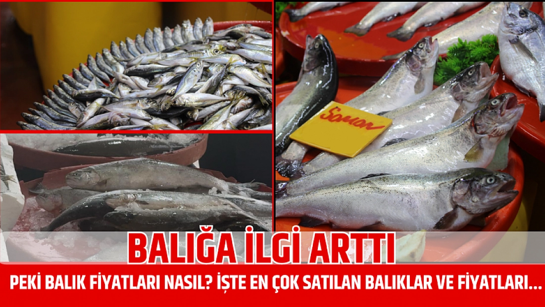 Balığa ilgi arttı: Peki balık fiyatları nasıl? İşte en çok satılan balıklar ve fiyatları...