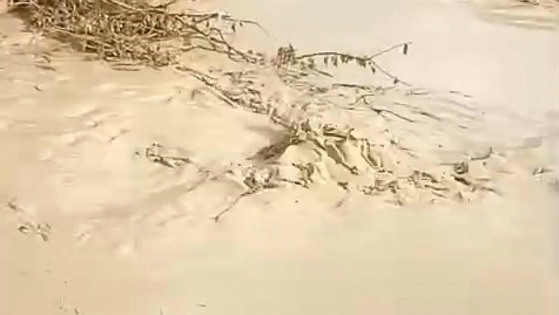 Baskil’de dereler taştı