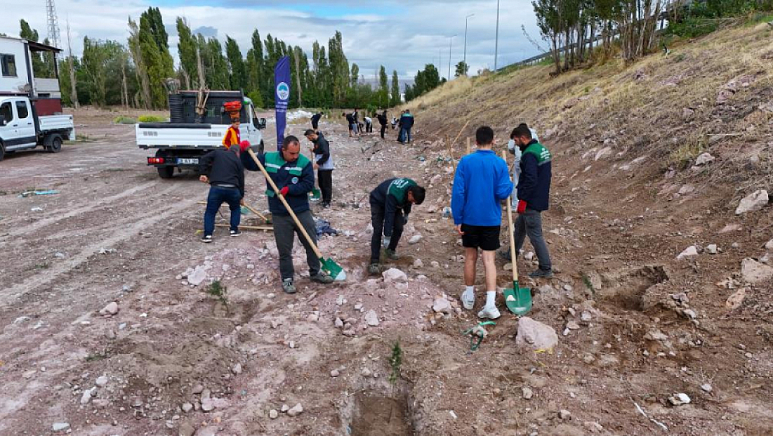 Bin 150 fidan toprakla buluştu