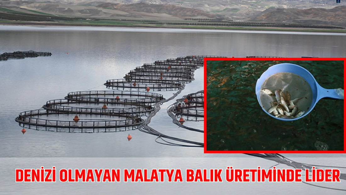 Denizi Olmayan Malatya Balık Üretiminde Lider