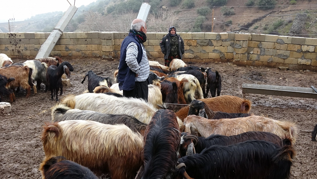 Depremzede besici devlet desteğiyle hayata tutundu