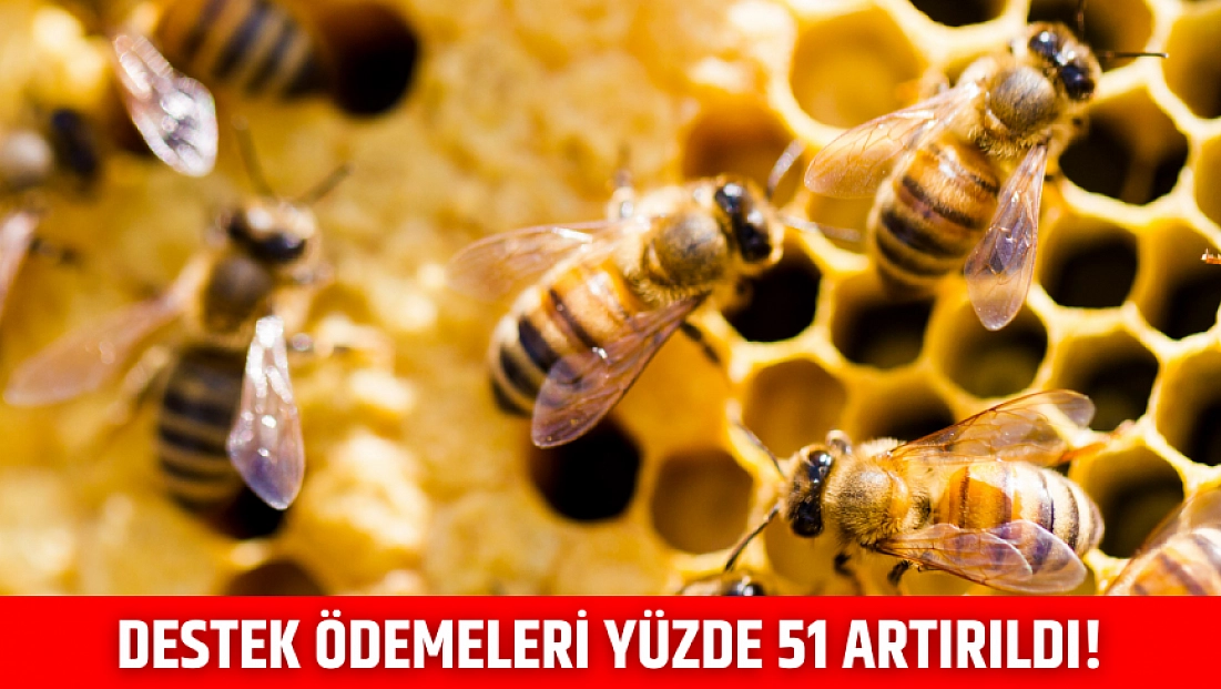 Destek ödemeleri yüzde 51 artırıldı!