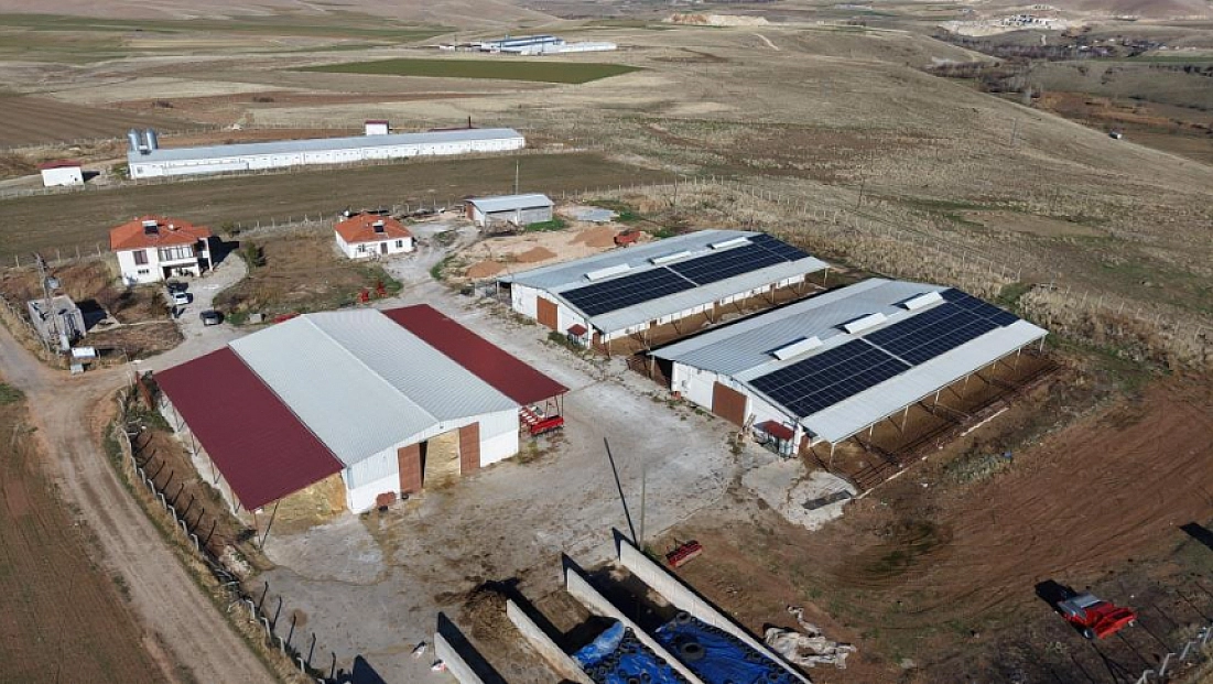 Devlet desteğiyle 300 hayvanlık çiftlik kurdu
