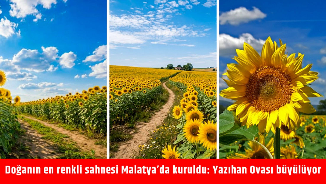 Doğanın en renkli sahnesi Malatya’da kuruldu: Yazıhan Ovası büyülüyor
