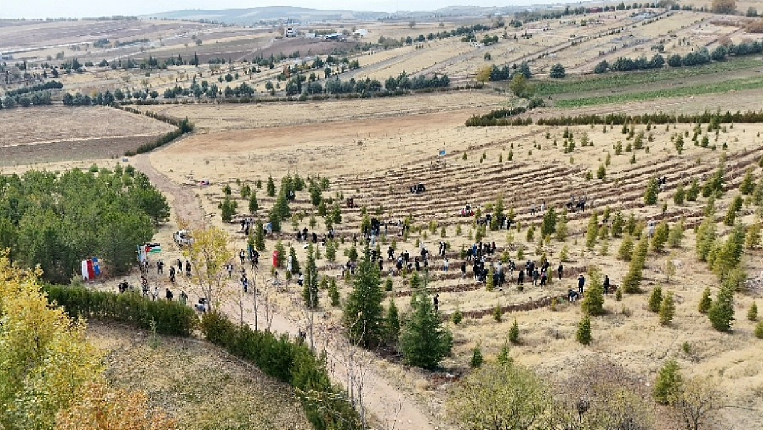 Doğu Türkistan ve Filistin için fidan diktiler