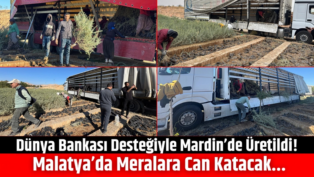 Dünya Bankası Desteğiyle Mardin’de Üretildi! Malatya’da Meralara Can Katacak...