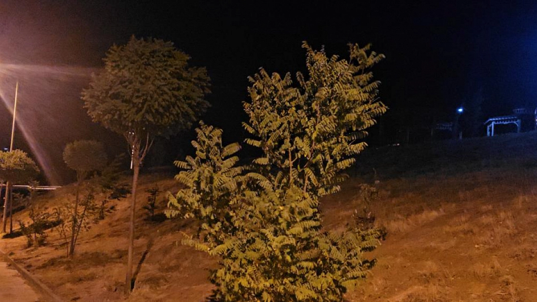 Elazığ'da kuvvetli rüzgar etkili