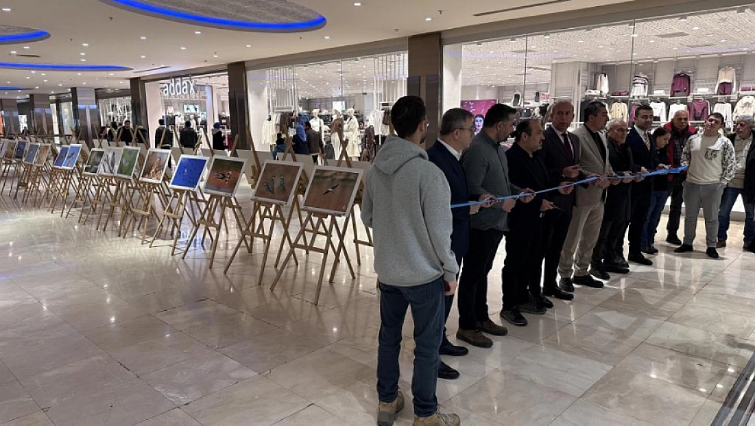 'Gaziantep'in Kuşları' sergisi açıldı