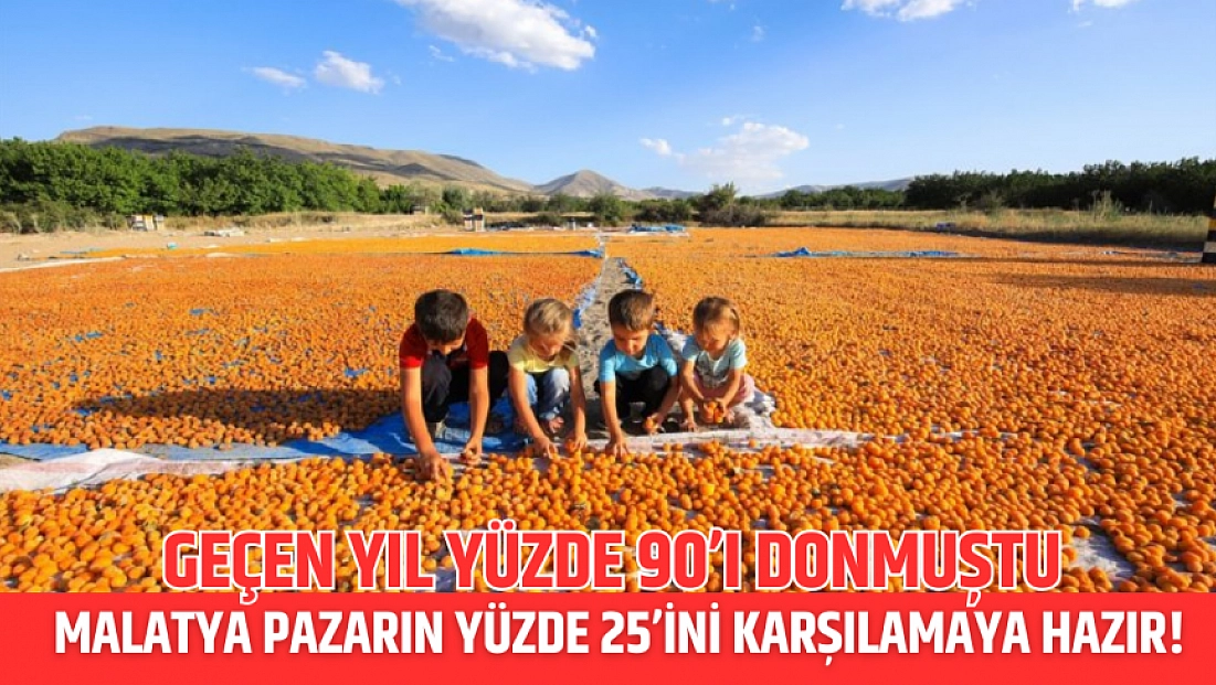 Geçen yıl yüzde 90’ı donmuştu: Malatya pazarın yüzde 25’i karşılamaya hazır