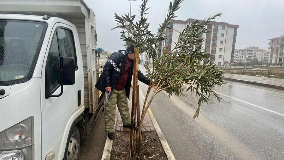 Genç fidanlar koruma altına alındı