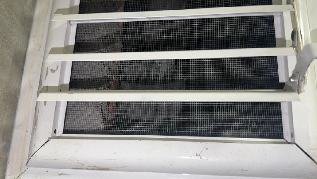 Güvercini kurtarmak için pencereyi söktü