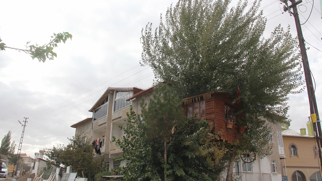 Hikâyesiyle yürek burkan ağaç ev yeniden inşa ediliyor