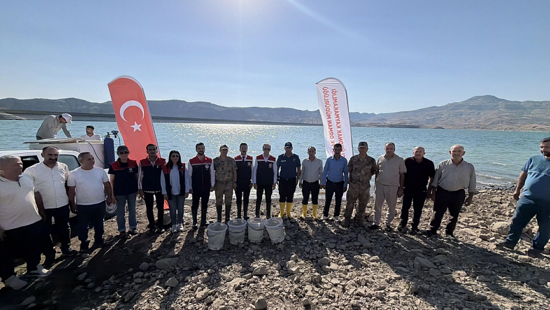 Ilısu Baraj Gölü'ne 800 bin yavru şabut balığı bırakıldı