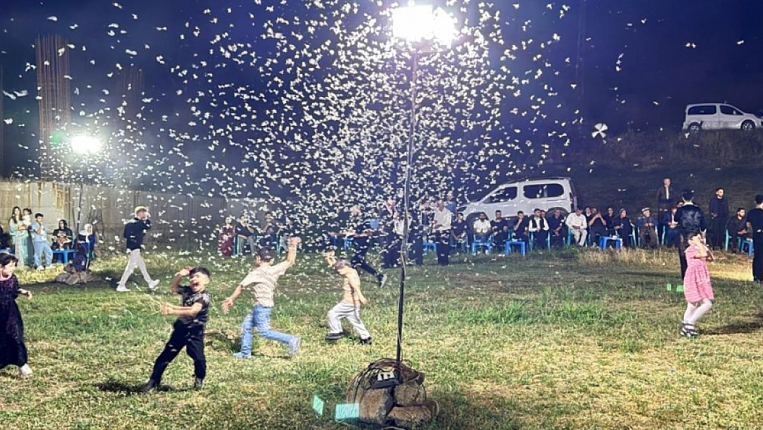 Kına gecesini kelebekler bastı! Halaylar yarım kaldı