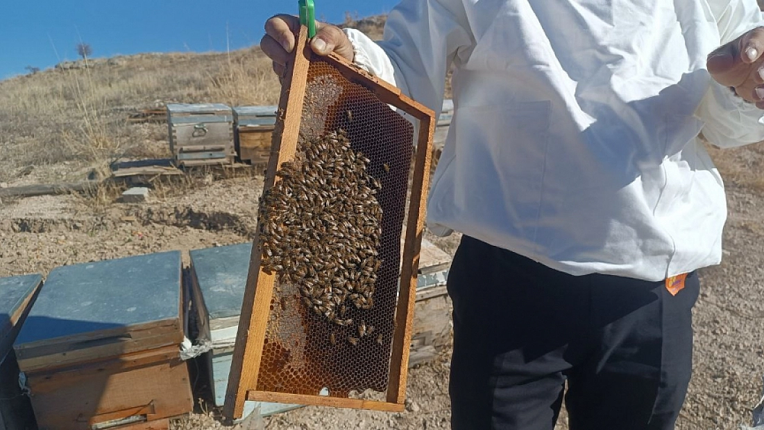 Kışa hazırlanan üreticiden sahte bal uyarısı