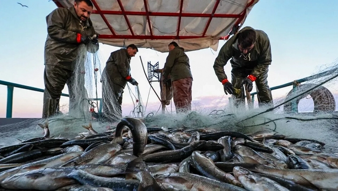 Kıyı balıkçılarına Palamut ve Torik müjdesi! Av sezonu 15 gün erkene çekildi