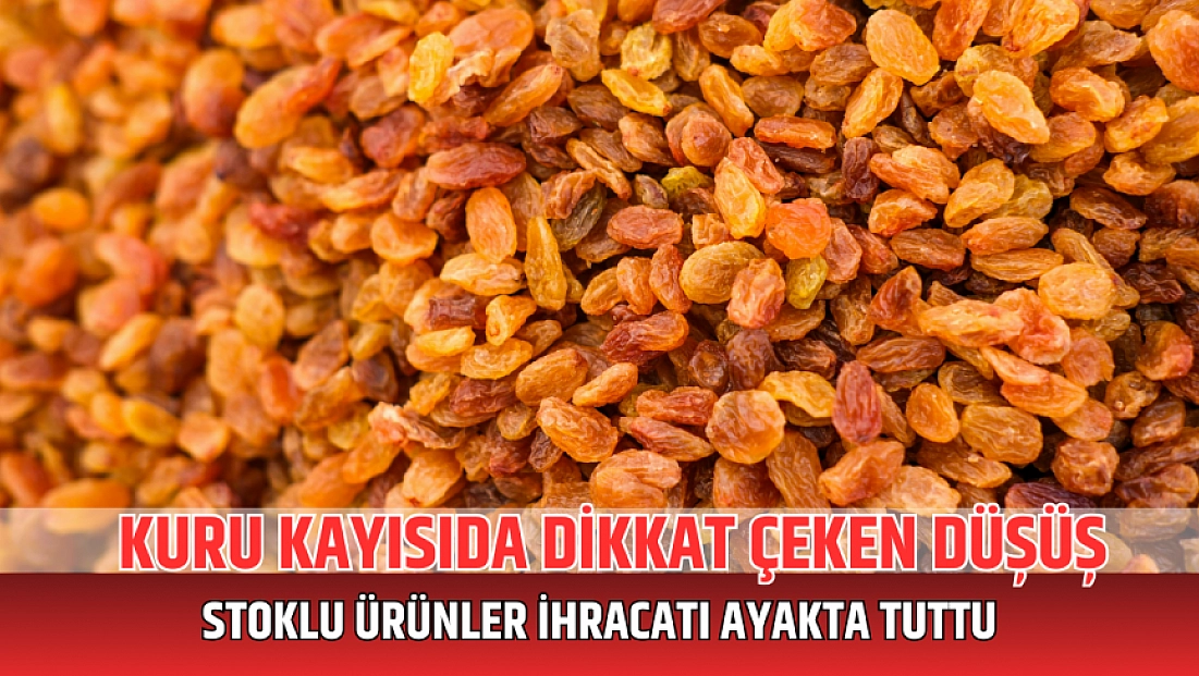 Kuru kayısıda dikkat çeken düşüş: Stoklu ürünler ihracatı ayakta tuttu