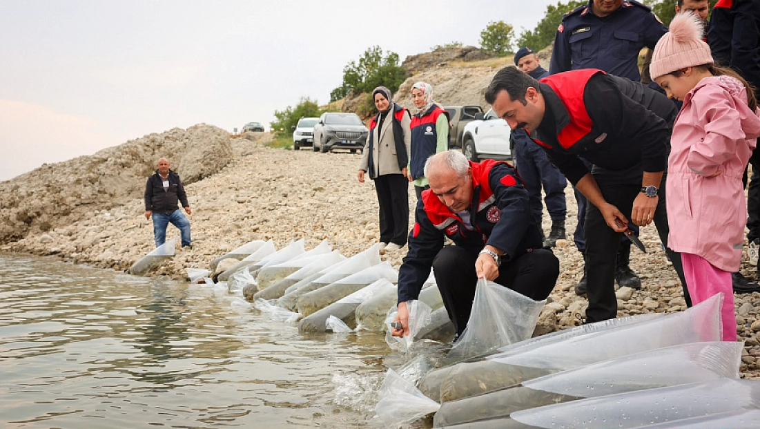 Malatya’da 1,3 milyon sazan suya bırakıldı