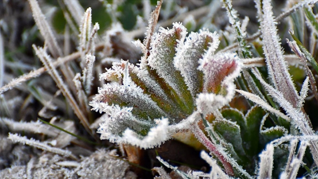 Malatya'da 22 Kasım'da hava nasıl olacak? Yağış ve rüzgar uyarısı var mı?