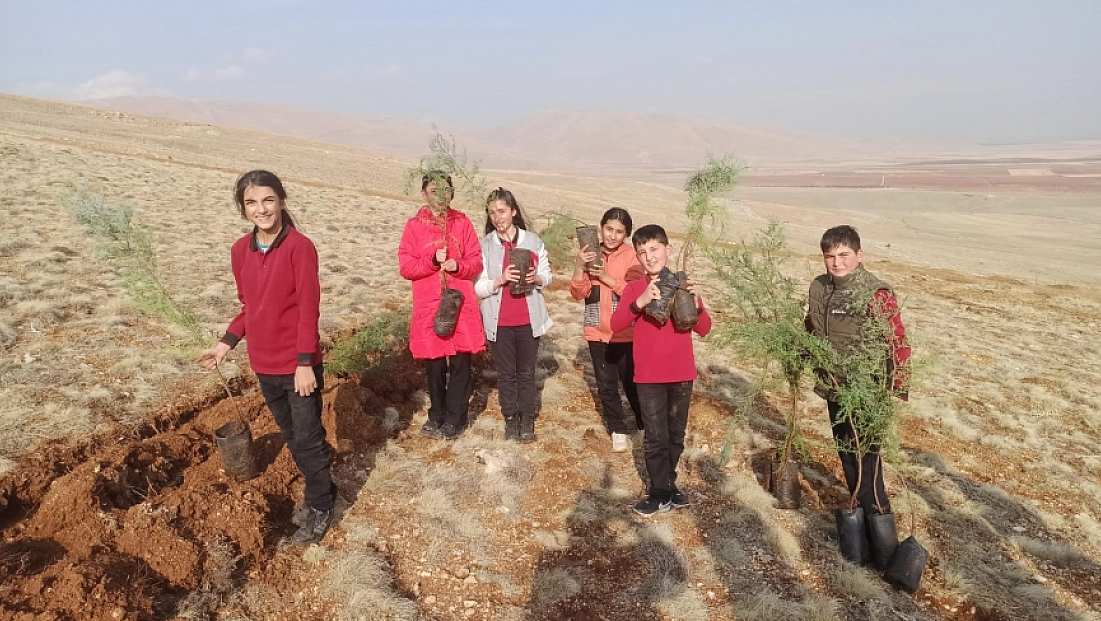 Malatya’da 3 bin fidan toprakla buluştu