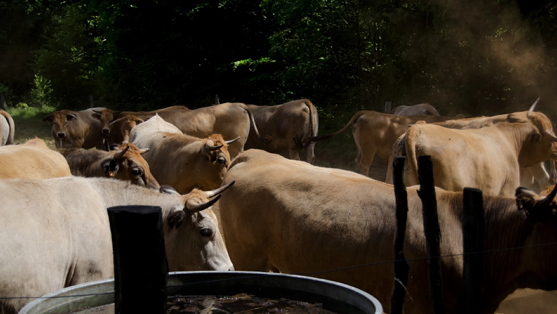 Malatya'da besi OTB’nin üstyapı çalışmaları sürüyor
