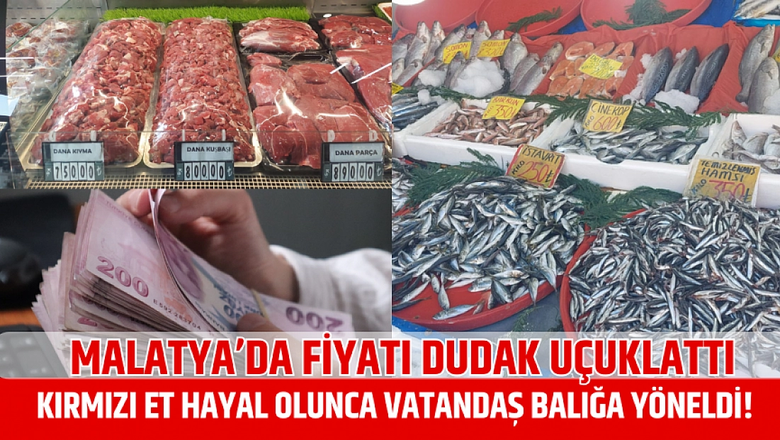 Malatya’da fiyatı dudak uçuklattı: Kırmızı et hayal olunca vatandaş balığa yöneldi!