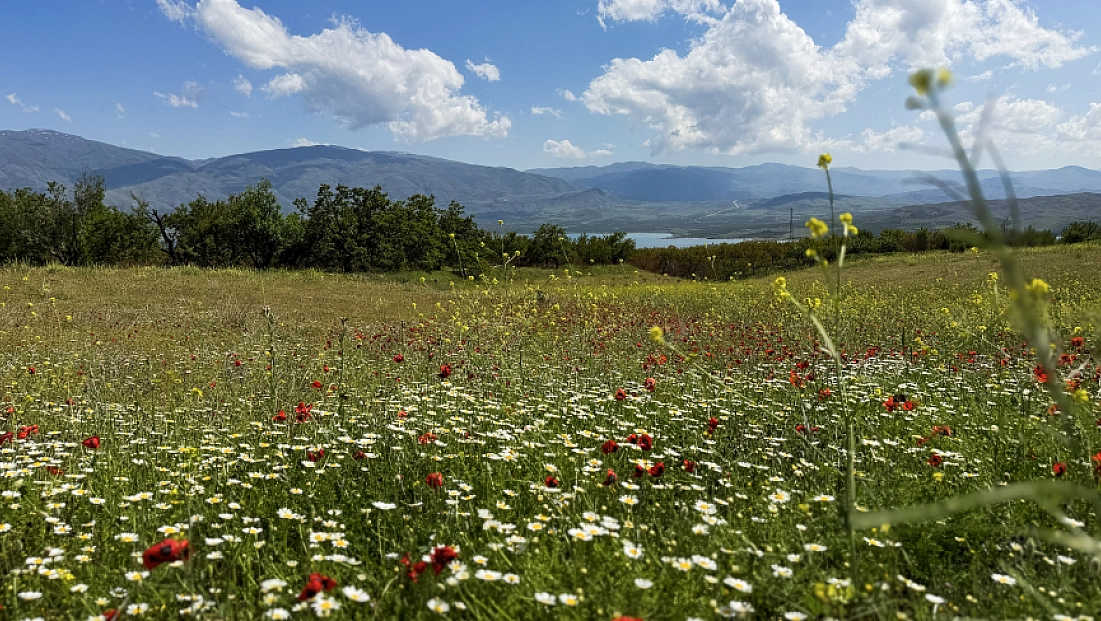 Malatya'da hava bugün nasıl olacak? Yağış var mı?
