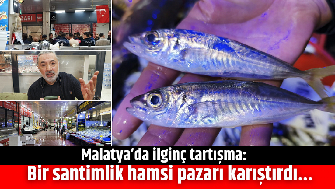 Malatya’da ilginç tartışma: Bir santimlik hamsi pazarı karıştırdı...