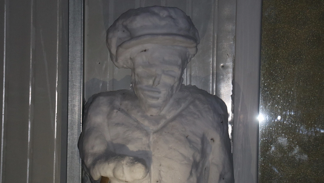 Malatya’da kar sanata dönüştü