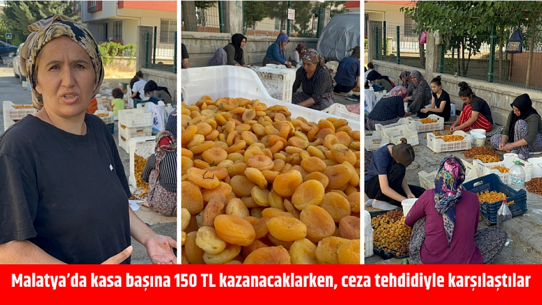 Malatya’da kasa başına 150 TL kazanacaklarken, ceza tehdidiyle karşılaştılar