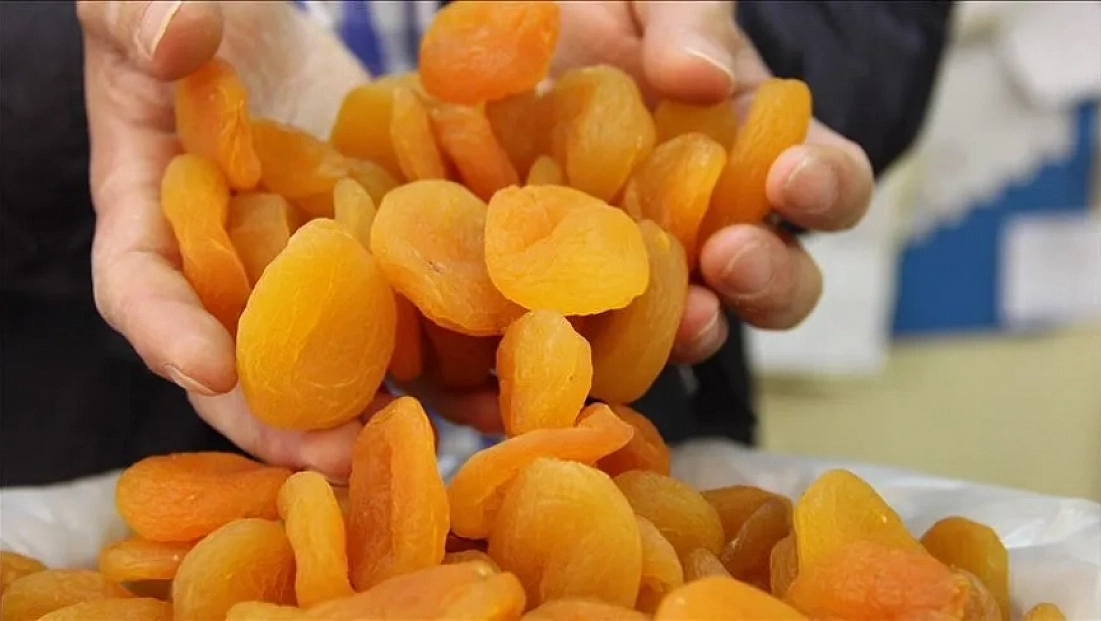 Malatya’da kayısı fiyatlarına tepki! Maliyet 350 TL’nin üzerinde