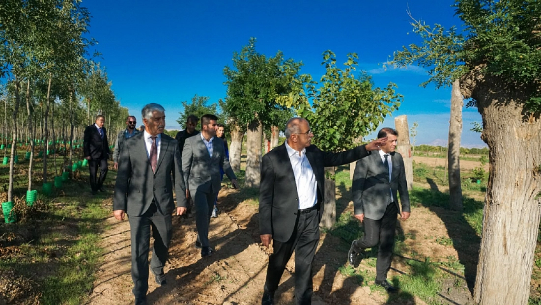Malatya’da kesilmedi, taşındı: Ağaçların yüzde 80’i yeniden yeşerdi