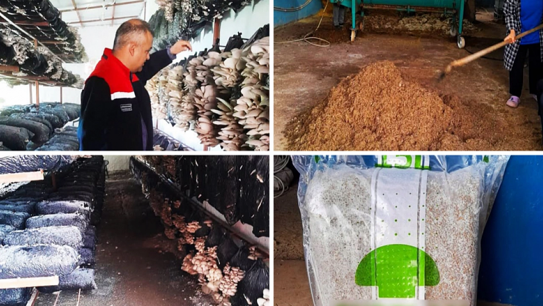 Malatya’da mantar üretim tesisleri denetlendi